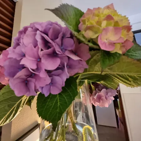 欧洲酒店 2* 佩罗斯－吉雷克